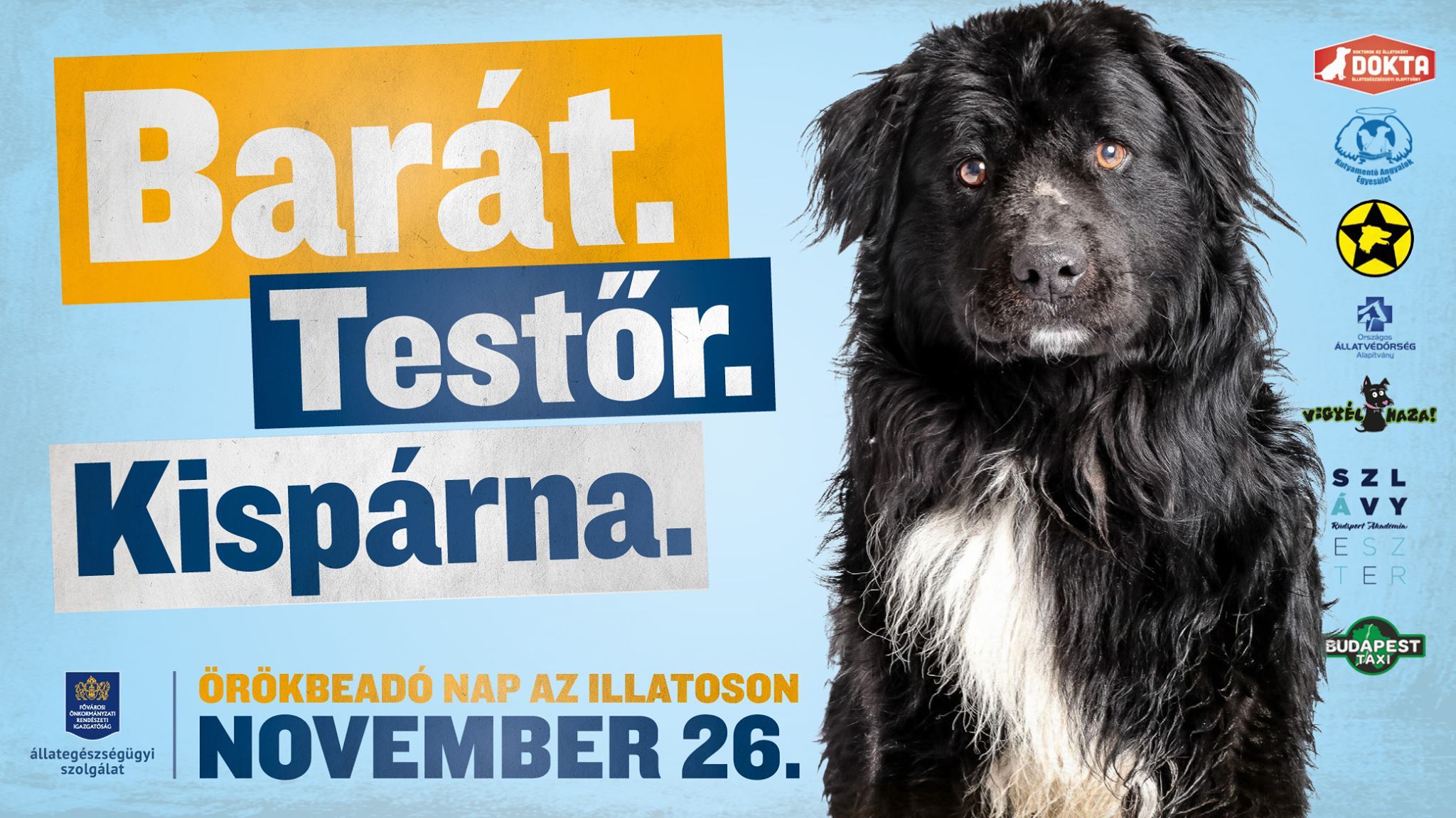 Örökbeadó nap az Illatoson