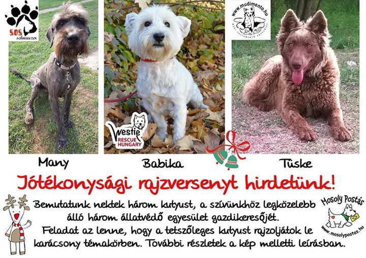 Mosoly Postás - Jótékonysági rajzpályázat