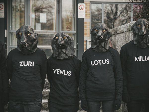 Fekete kutya maszkos demonstrálók - az állatvédők nem adják fel, céljuk a labradorok életének megmentése