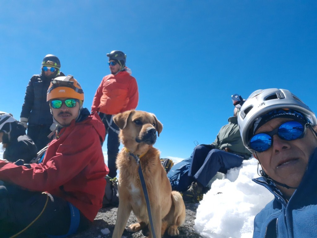 Canelo, a hegycsúcson ragadt kutya és a mentőcsapat