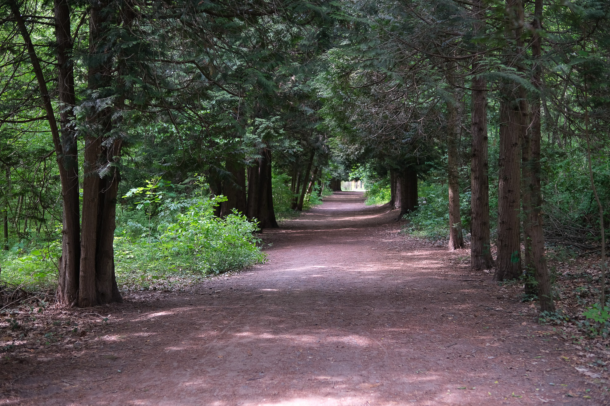 arbo park