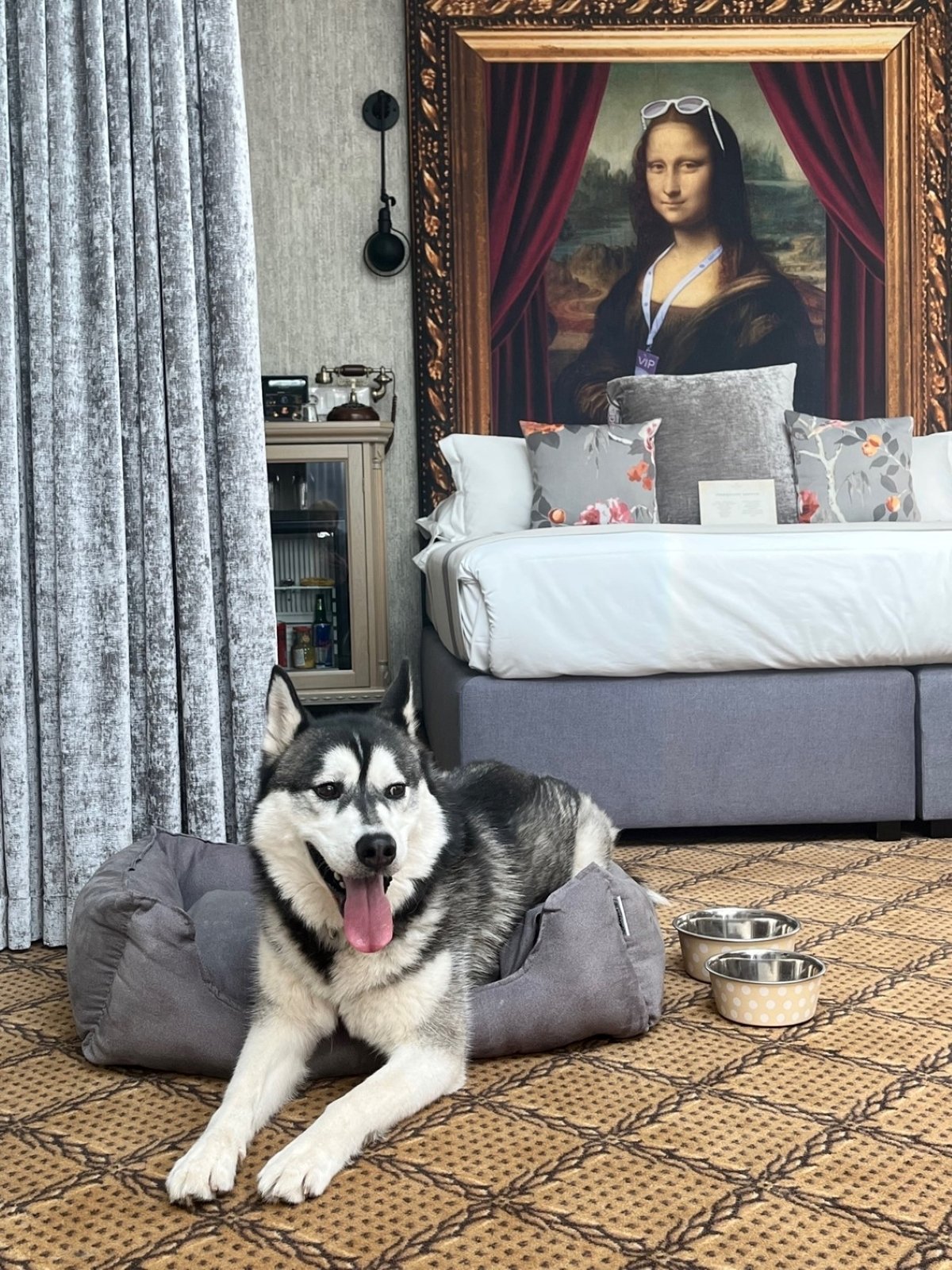 Legendák és rejtélyek nyomában járhatsz kutyáddal a lélegzetelállító Mystery Hotel Budapestben