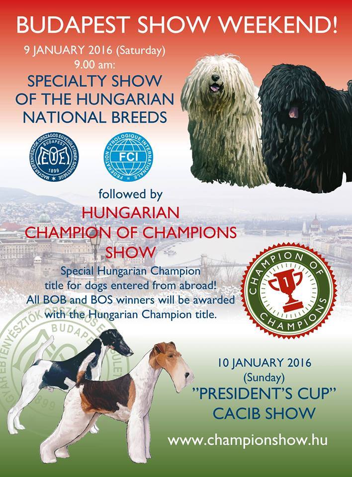 Hungarian breed Specialty - Championshow - President Cup