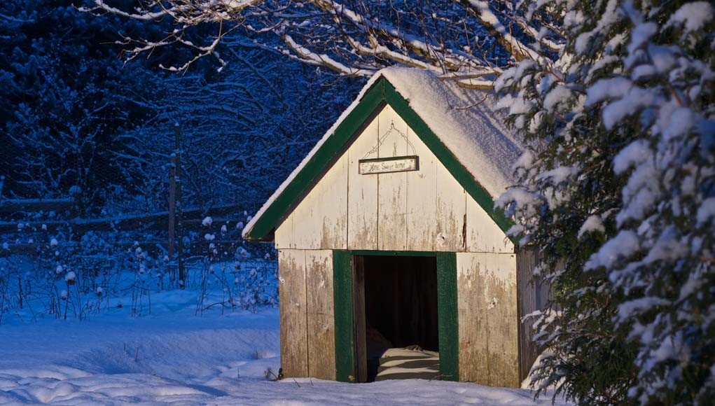 A kutyaházat is fel kell készíteni a télre
