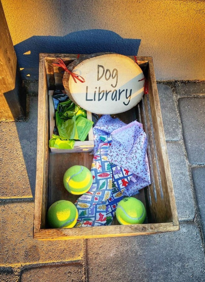 Kutyakönyvtár játékokkal és kakizacsival