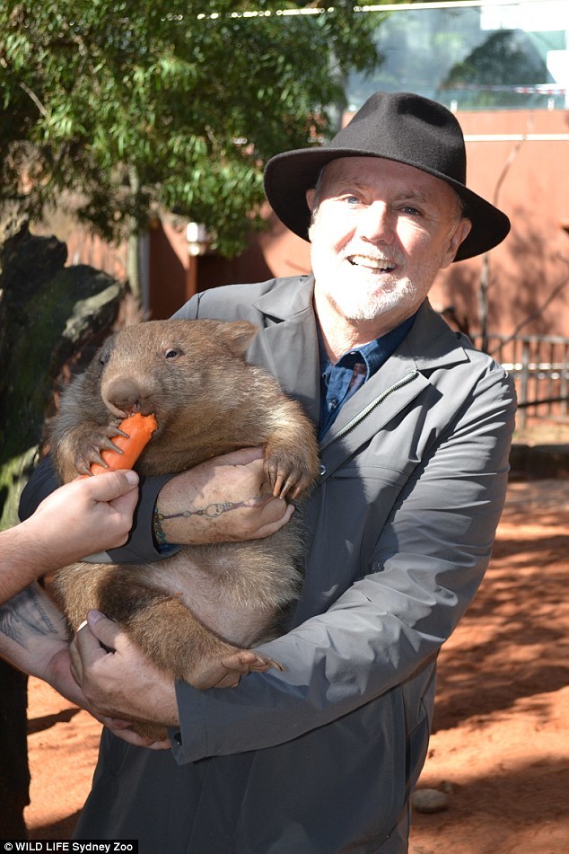 Roger Taylor és egy wombat egy ausztrál állatkertben Roger Taylor és egy wombat egy ausztrál állatkertben