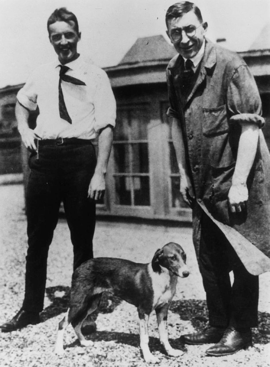 Nobel-díjas kutatók: Charles Best (balra), Frederick Banting (jobbra), és Marjorie, a kutya