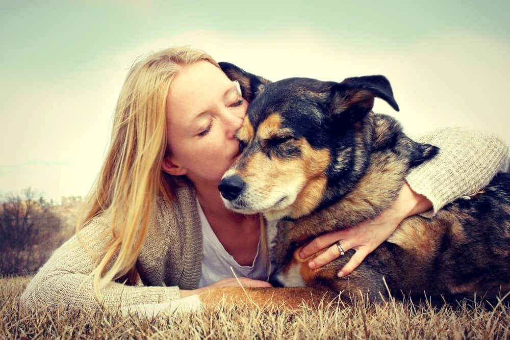 Elfogadhatja a kutya az emberi puszit, ha összekapcsolta a szeretet, kötődés érzésével