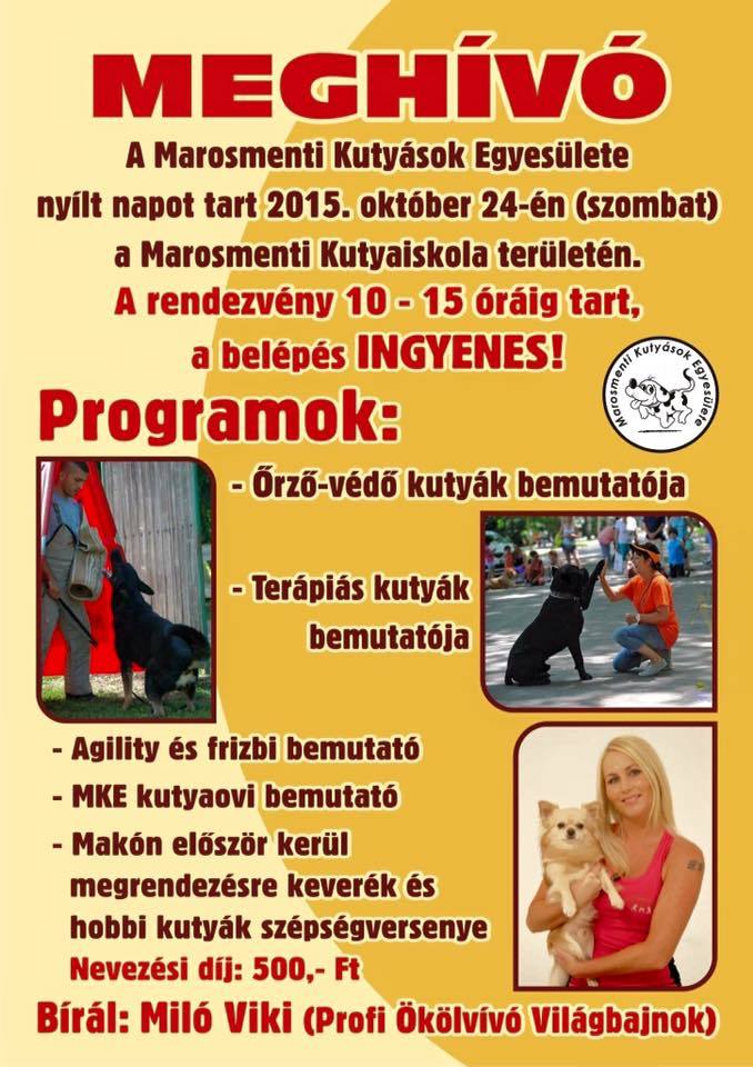 Nyílt nap a Marosmenti Kutyások Egyesületénél