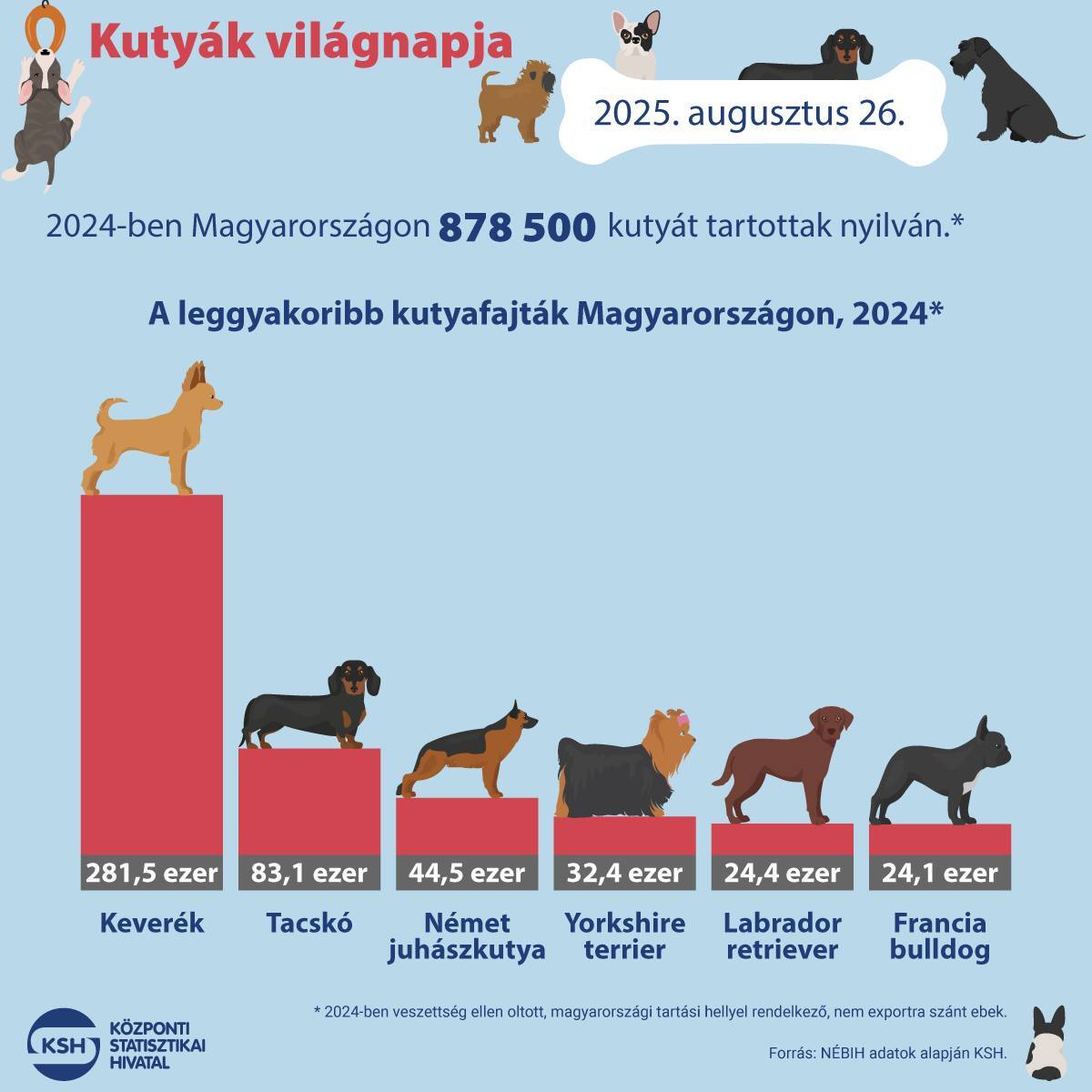 KSH infografika a leggyakoribb kutyafajtákról Magyarországon KSH infografika a leggyakoribb kutyafajtákról Magyarországon