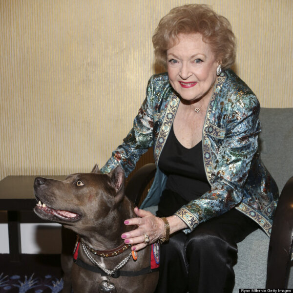 Betty White és Elle, az 2013-as Év Hős Kutyája