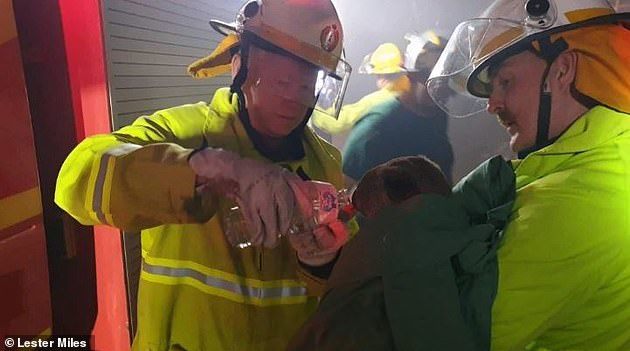 A tűzoltók is mindent megtesznek a koalák megmentéséért