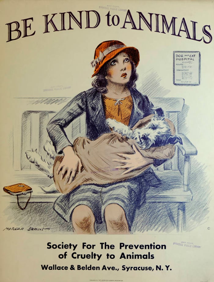 Be Kind to Animals - Plakátok a ‘30-as évekből az állatok védelméért - 10