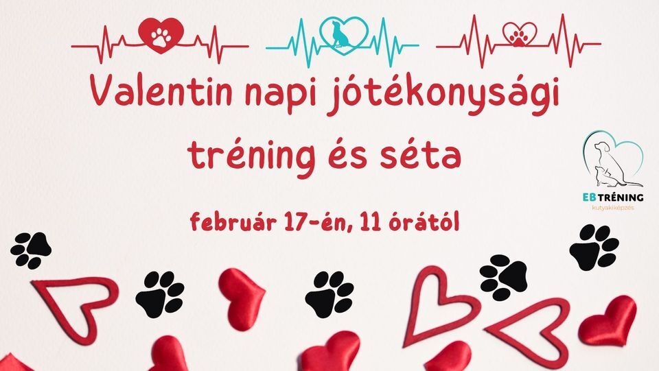 Valentin napi jótékonysági tréning és séta