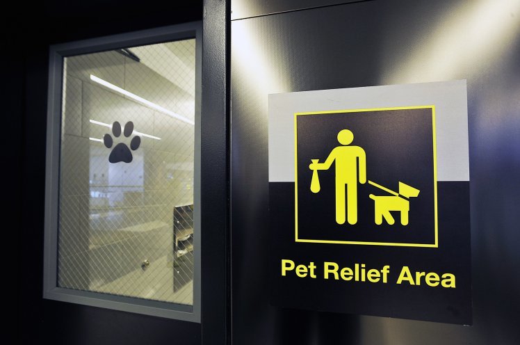Különleges kutya-WC egy amerikai repülőtéren