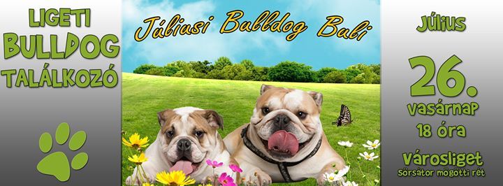 Júliusi Bulldog buli