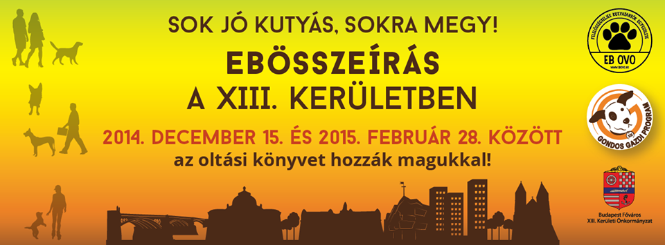 ebovo ebösszeírás