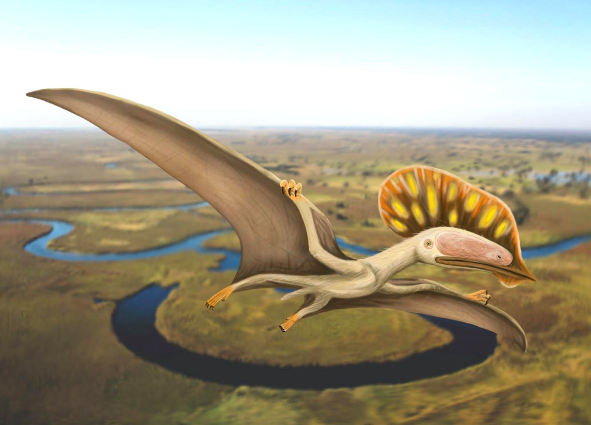 A pteroszauruszok egy bizarr külsejű faját fedezték fel Nagy-Britanniában, ahol most először bukkantak rá a repülő őshüllők rendjének egy ilyen képviselőjére.