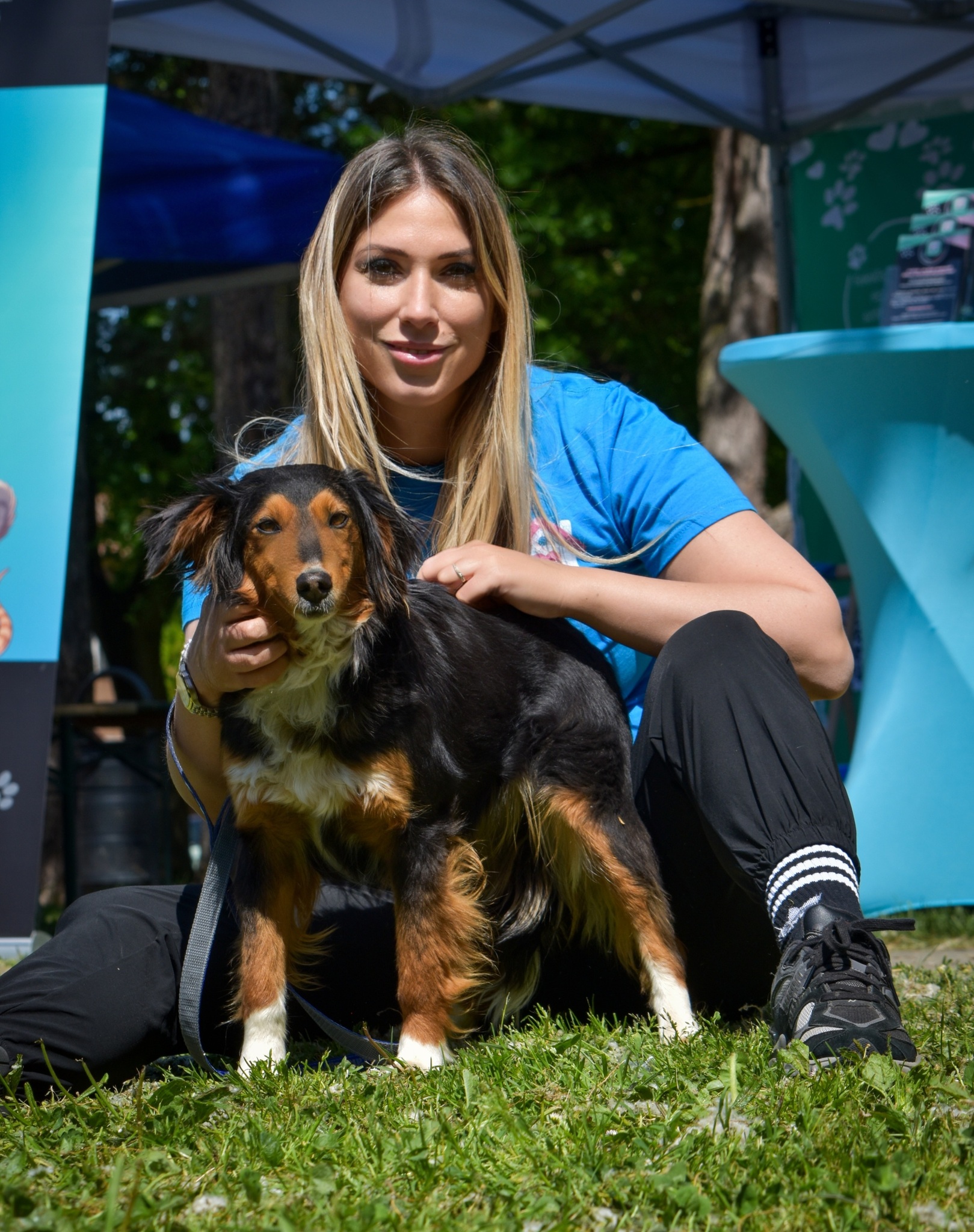 PetPals - Gál Katalin