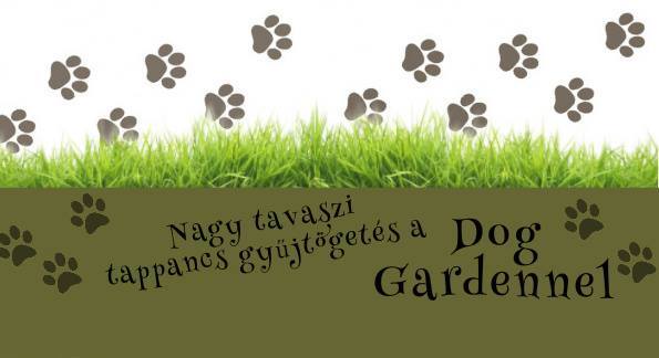  Nagy tavaszi tappancs gyűjtögetés a DOG GARDENNEL