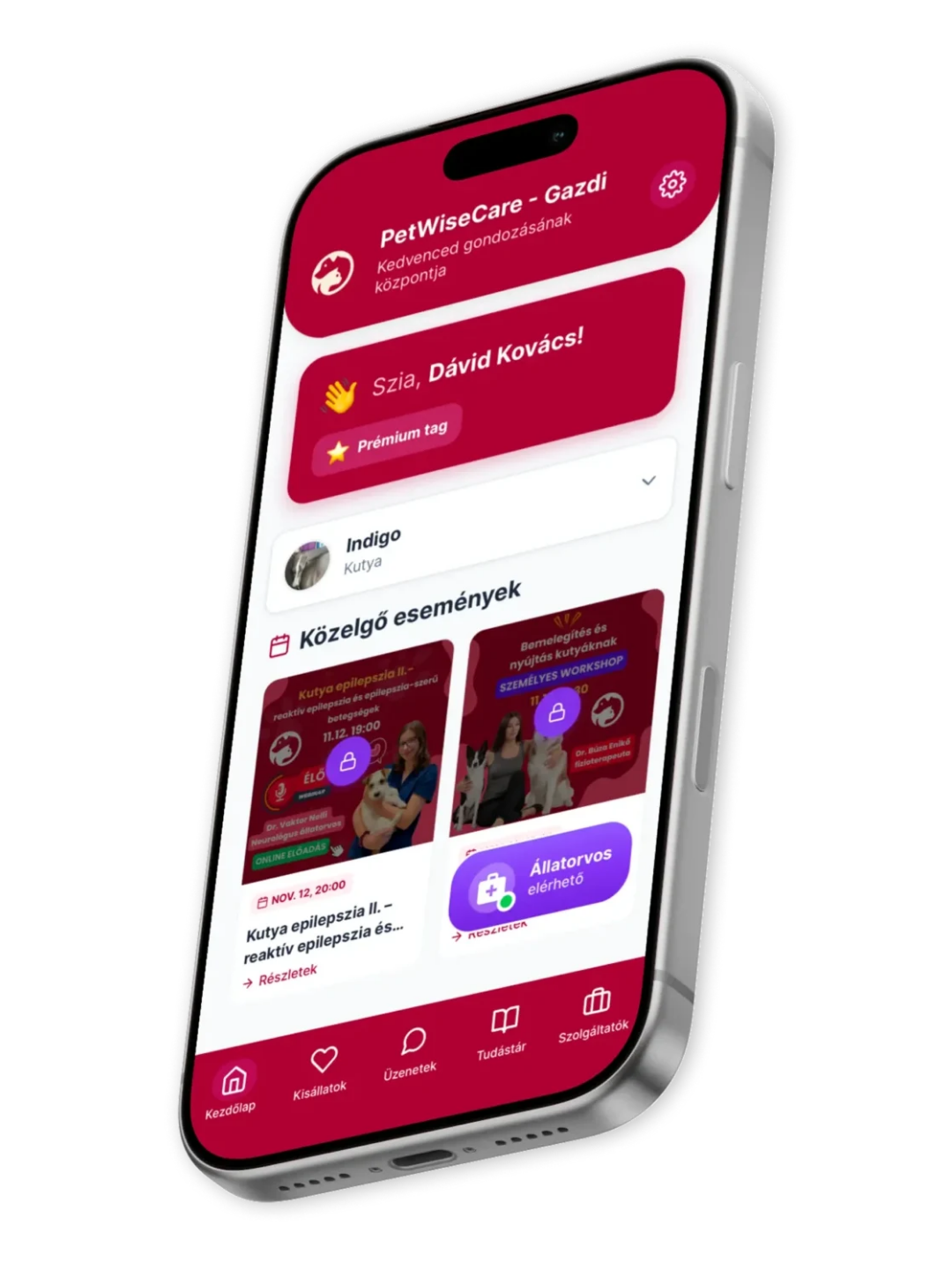 Petwisecare szakértő állatorvos segítség