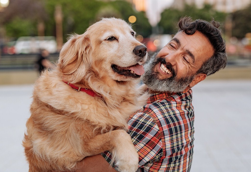 A kutyák öregedésének kutatása segíthet megtalálni az egészséges, hosszú élet titkát