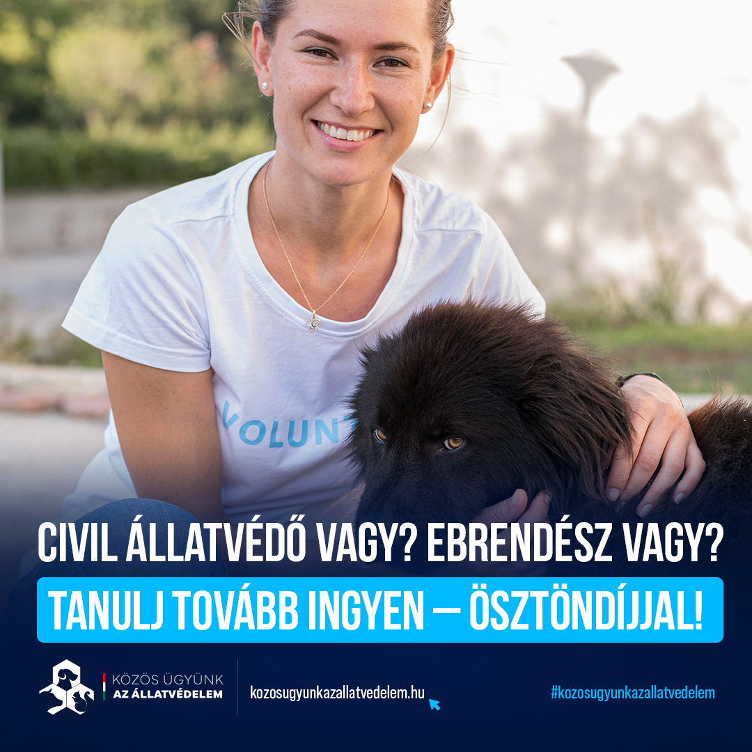 Elindul Magyarország első, diplomához nem kötött állatvédelmi ösztöndíjprogramja