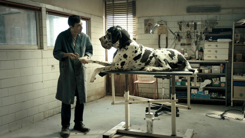 Tarolt a Dogman - Kutyák királya című film a 63. Donatello Dávidja díjátadón.