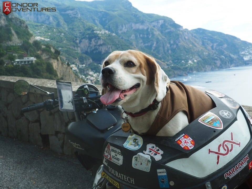 Brigi, a motoros kutya az olasz tengerparton