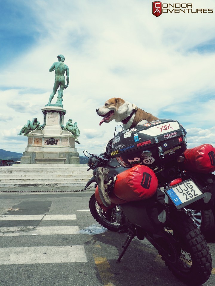 Kutya a fedélzeten: Brigi Firenzében