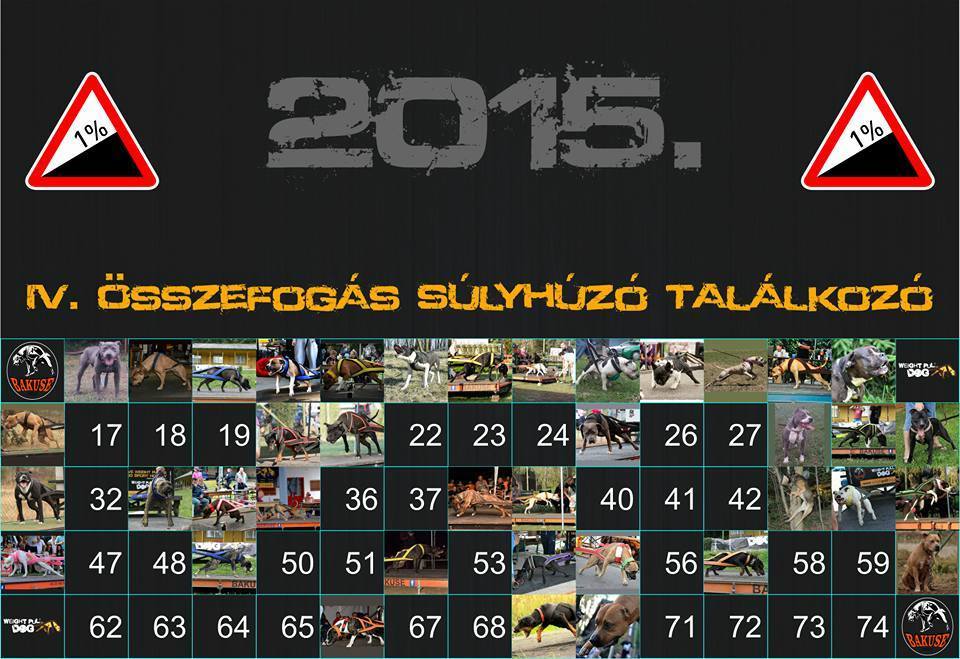  IV. Összefogás Súlyhúzó Találkozó