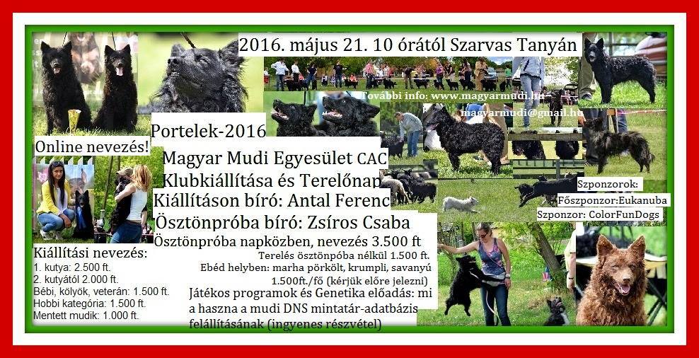MME 2016 Klubkiállítás és terelőnap