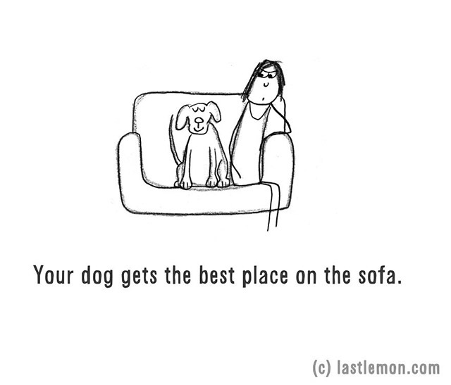 Kényelmesen érzi magát a kutyád a kanapén is 