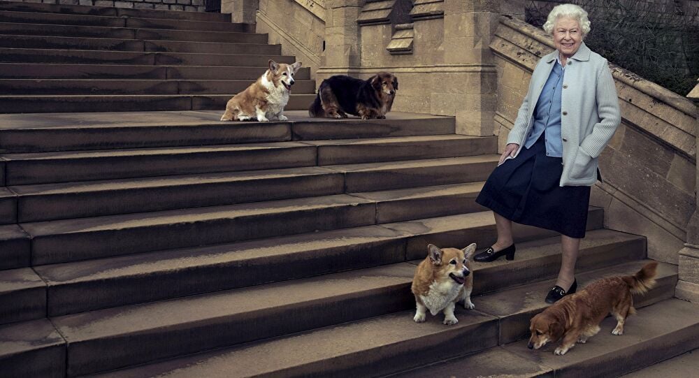Erzsébet királynő és kutyái
