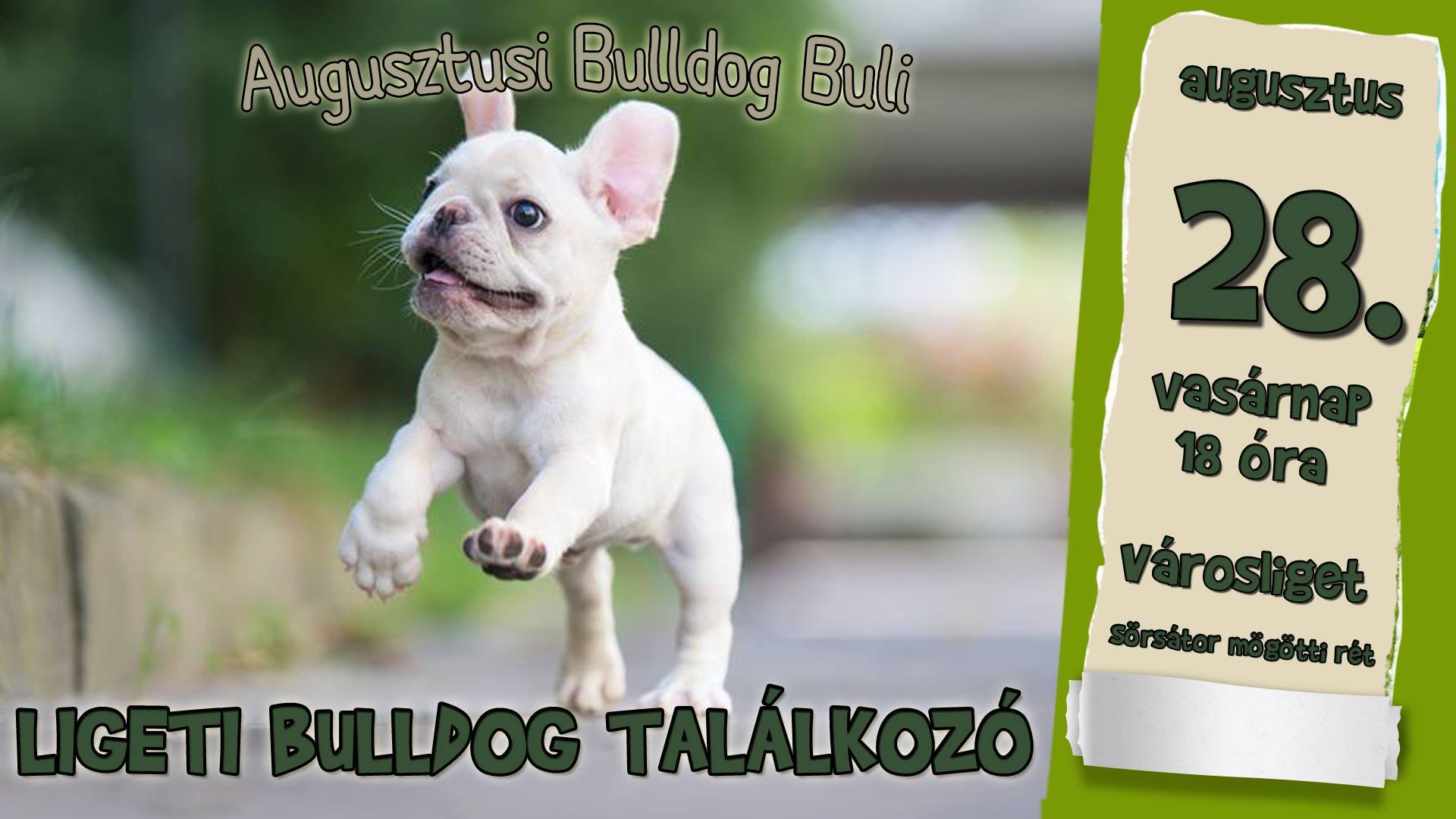 Ligeti Bulldog Találkozó - Augusztusi Bulldog Buli 