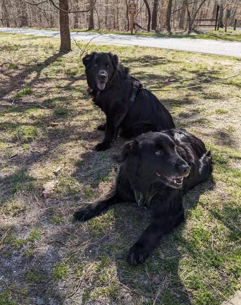 13 telt el, de a két öreg kutya hamar egymásra talált