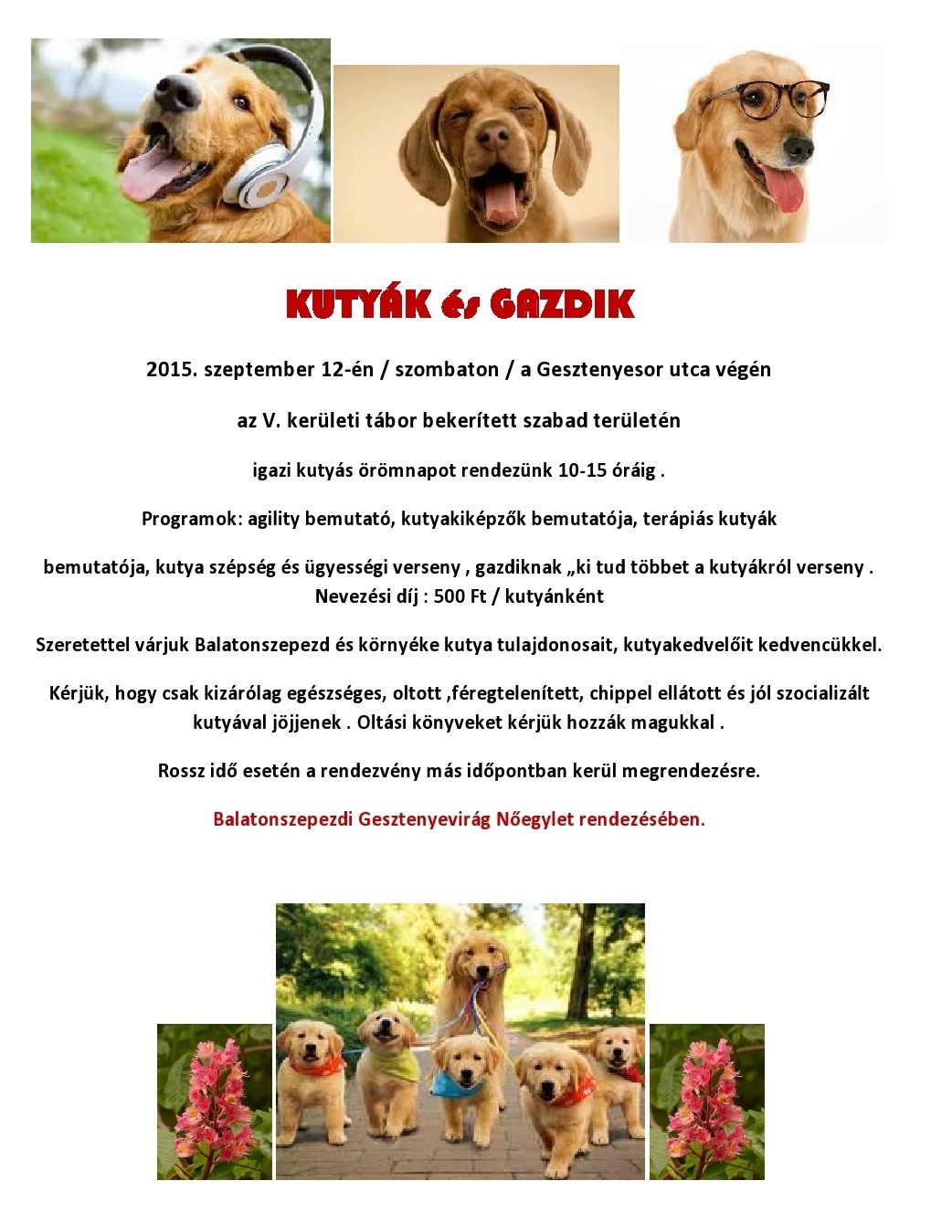 Kutyák és Gazdik 2015