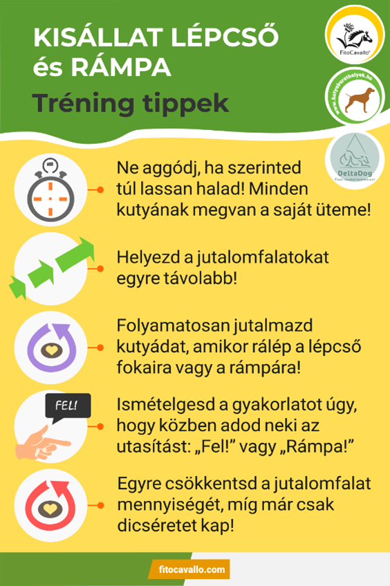 Kisállat rámpa és lépcső - tréning tippek