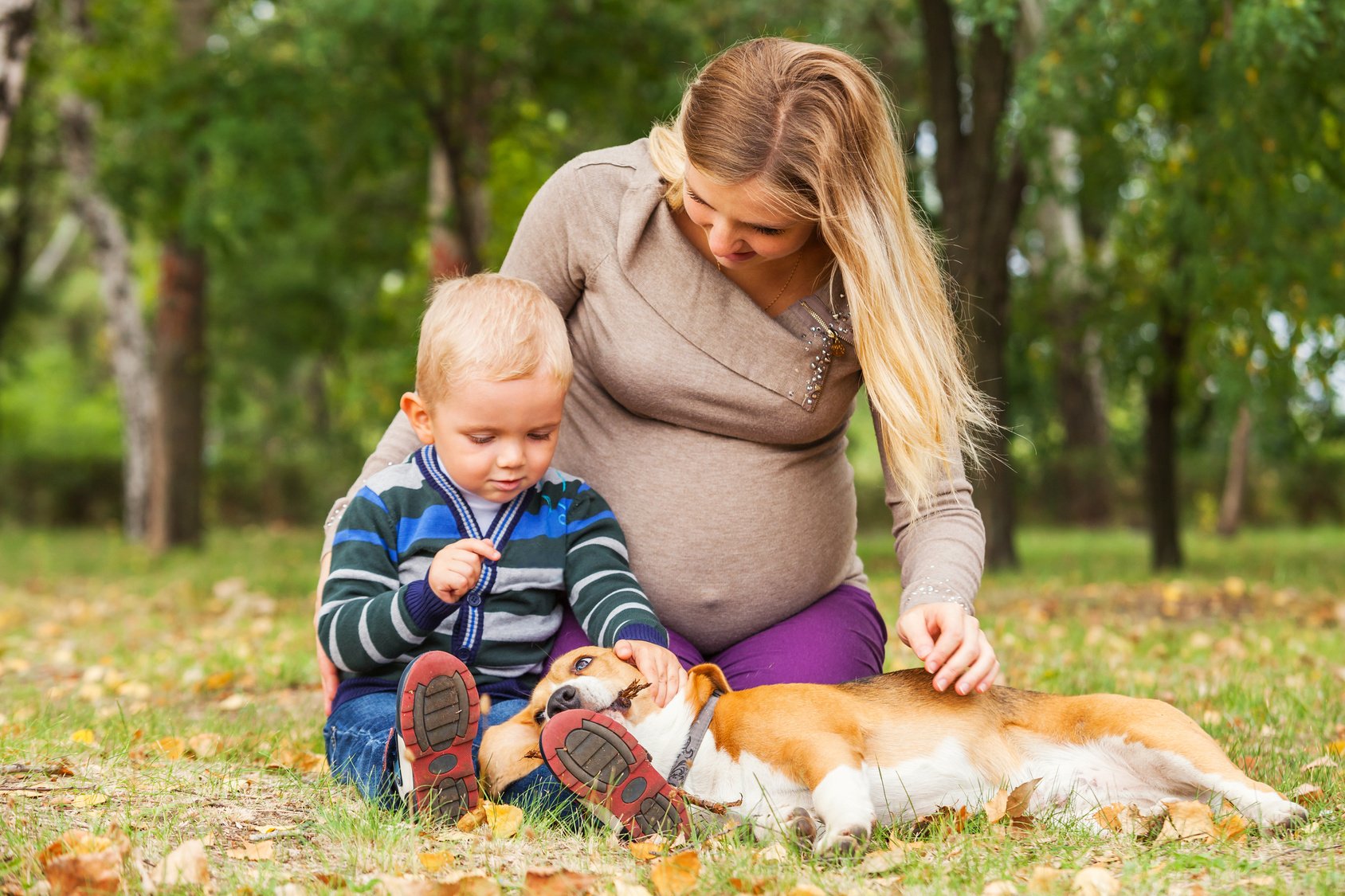 A babavárás során is fordítsunk elegendő figyelmet kutyánkra 