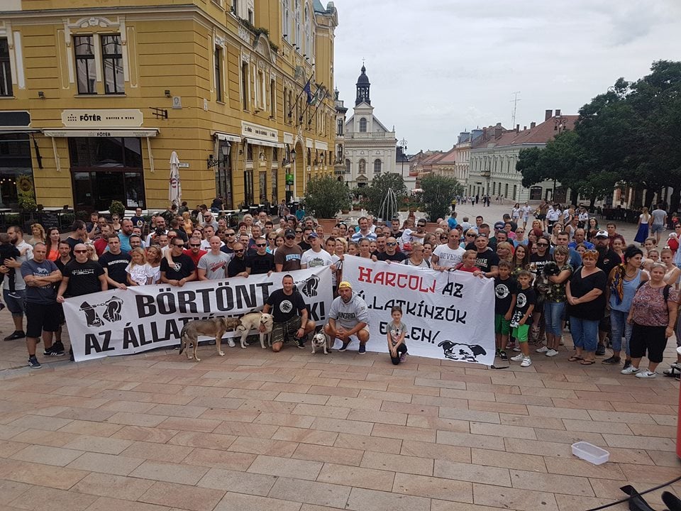Szurkolók az állatkínzás ellen - lakossági fórum és állatvédelmi egyeztetés, Pécs