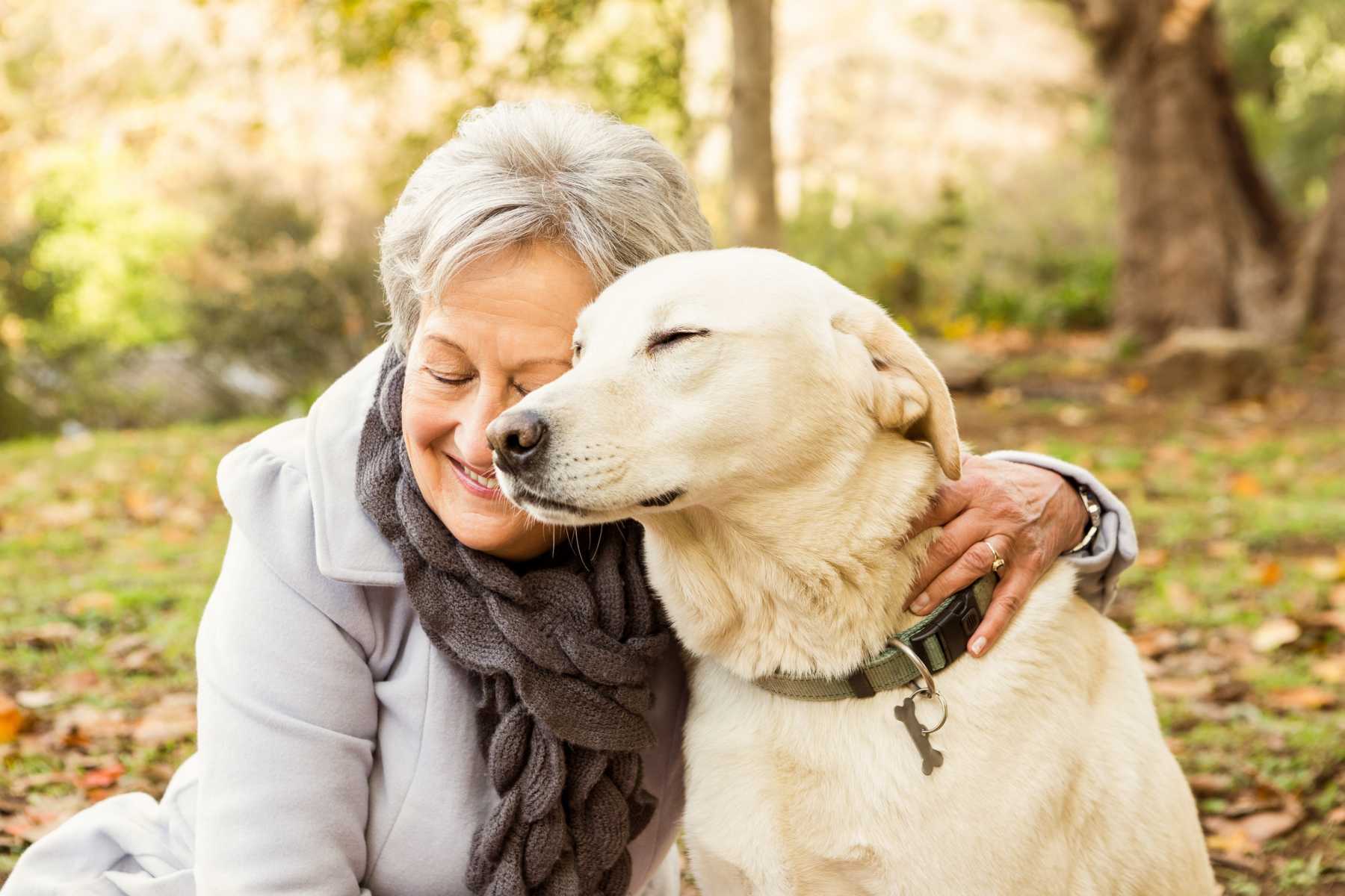 Idős korban egy kutya szeretetteljes társasága segíthet leküzdeni a magányt