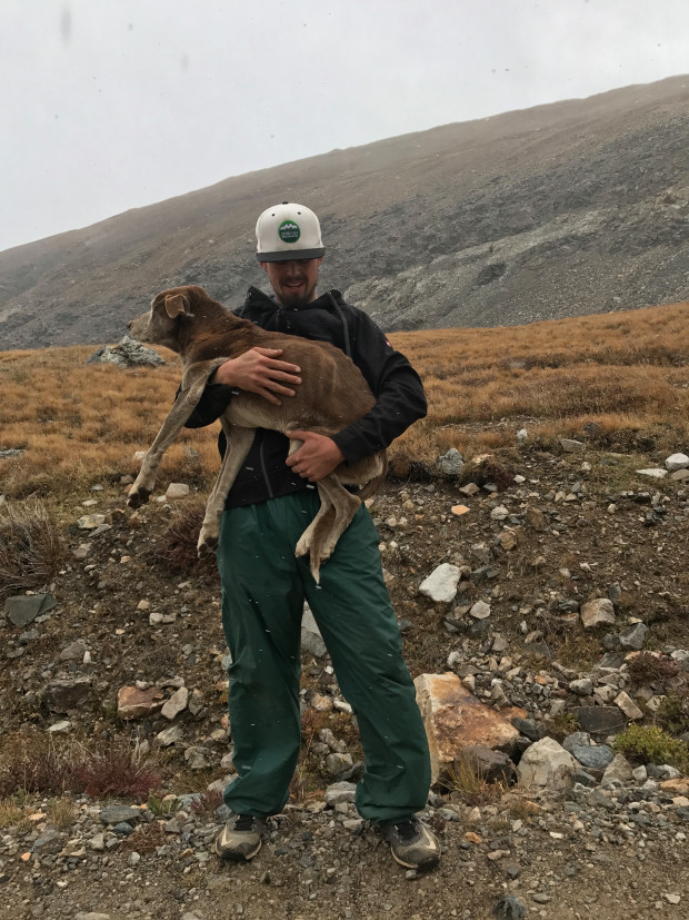 Karjaiban hozta le a férfi az idős kutyát a hegyről