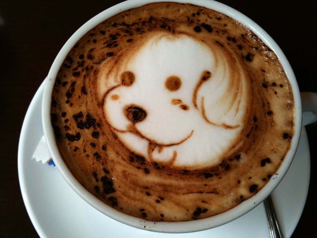 Kutya portré a kávémon?!