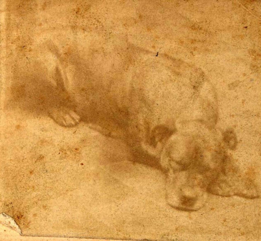 Sallie Ann Jarrett, a hős kutya egyetlen korabeli fényképe
