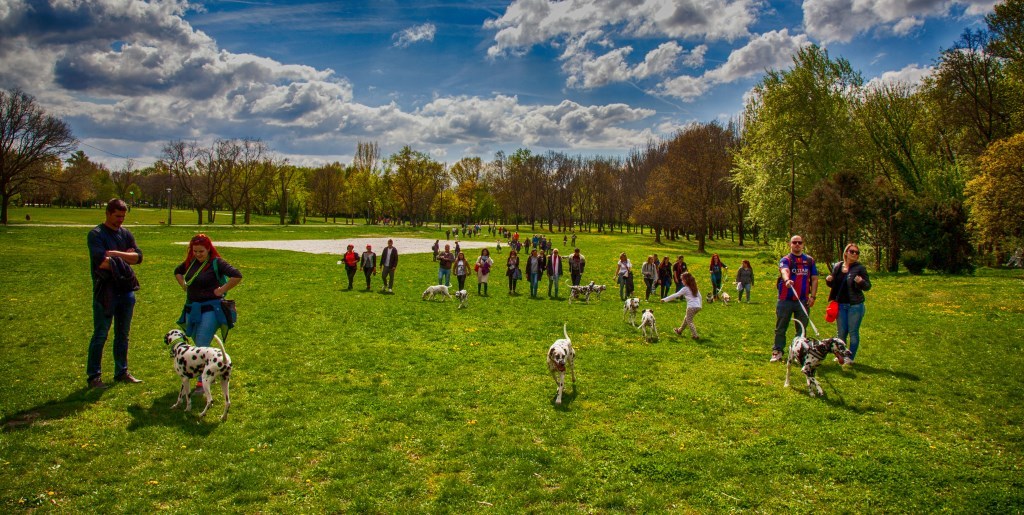 Az időjárás is kedvezett az idei tavaszi Dalmata Találkozó résztvevőinek
