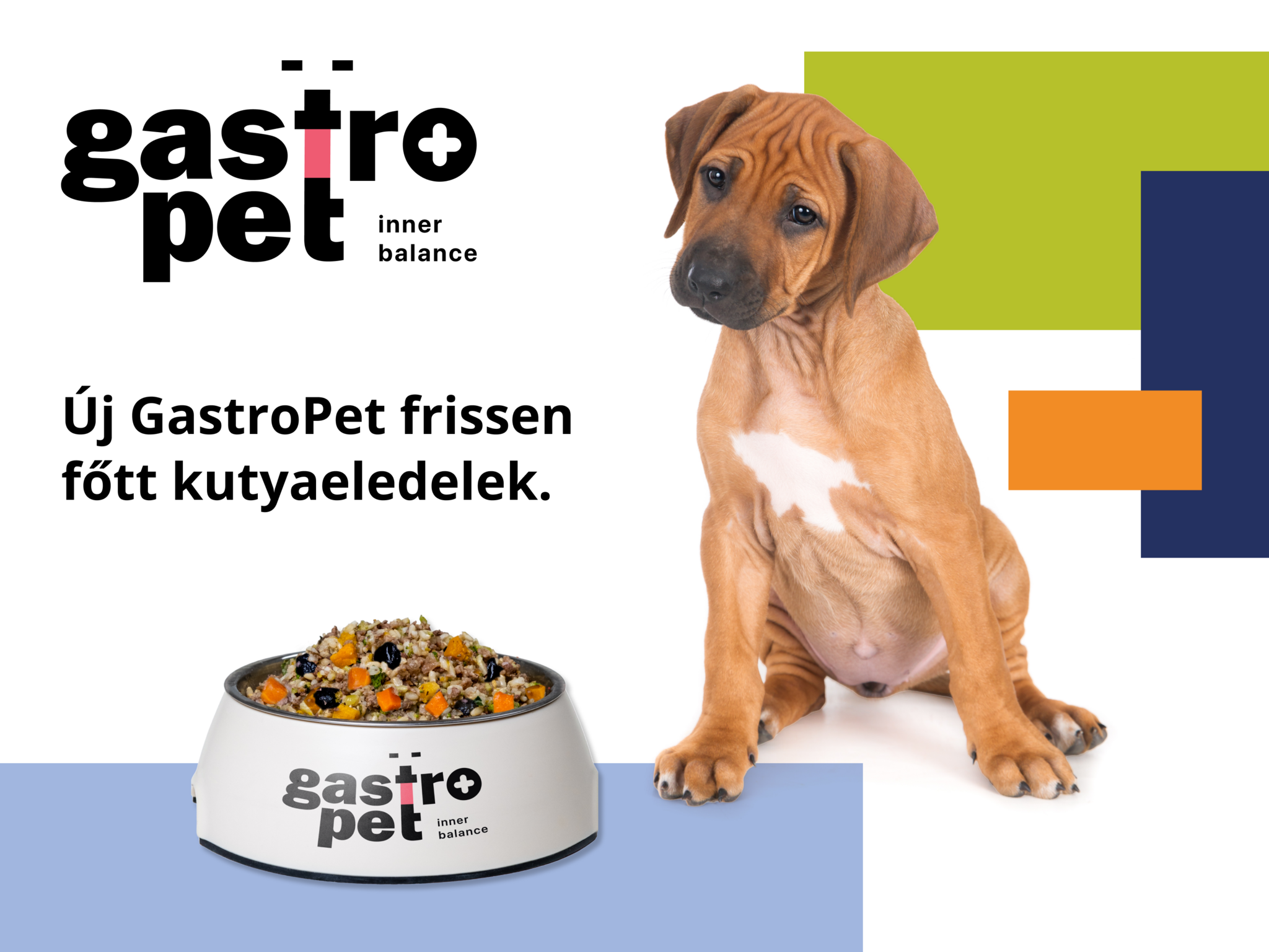 Új fejezet a tudatos kutyatáplálásban: megérkezett a GastroPet