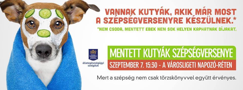 mentettkutyaszépségverseny