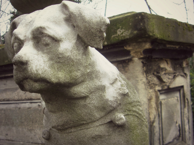 Kutya szobra a Cimetière des Chiens -ben
