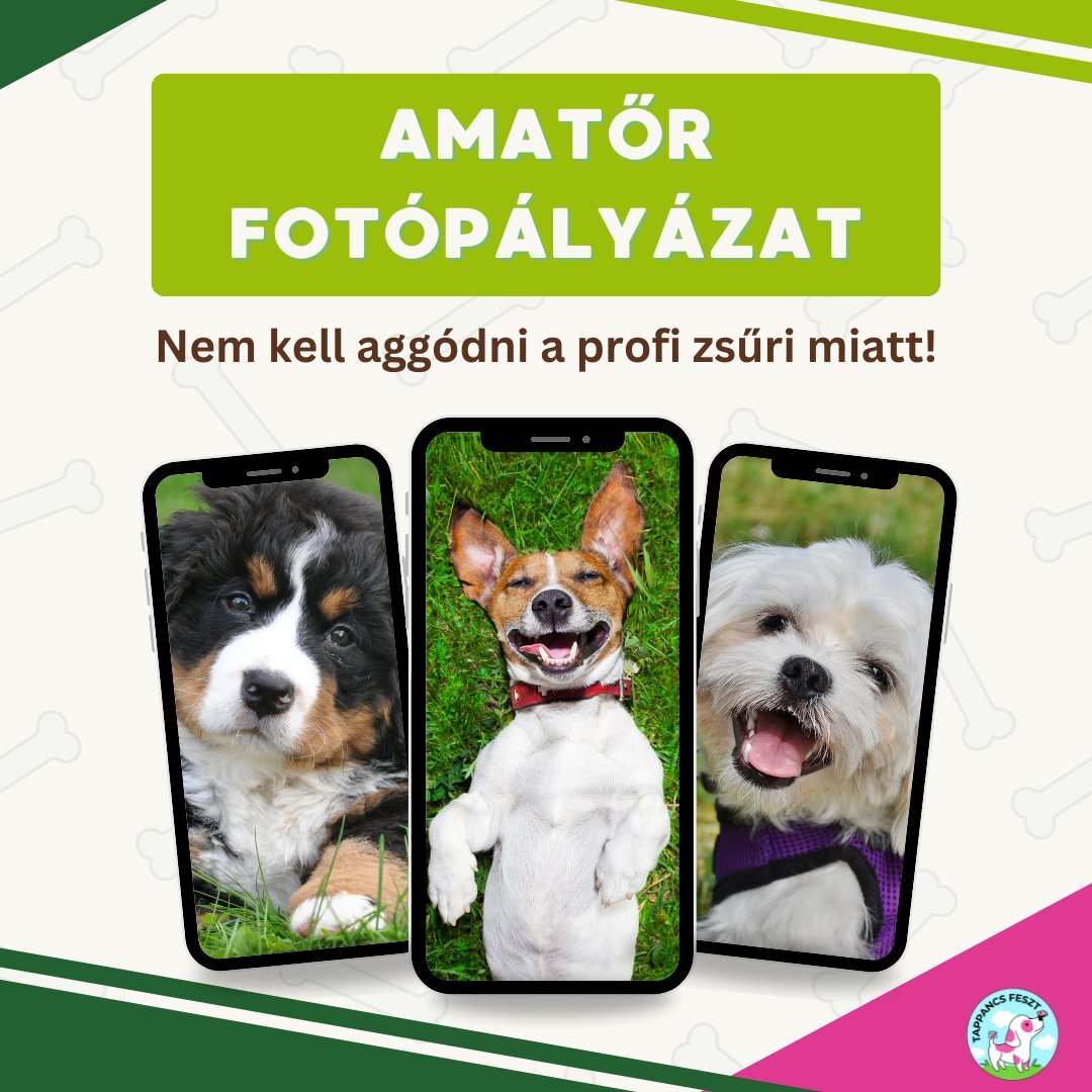 tappancsfeszt pályázat tappancsfeszt pályázat