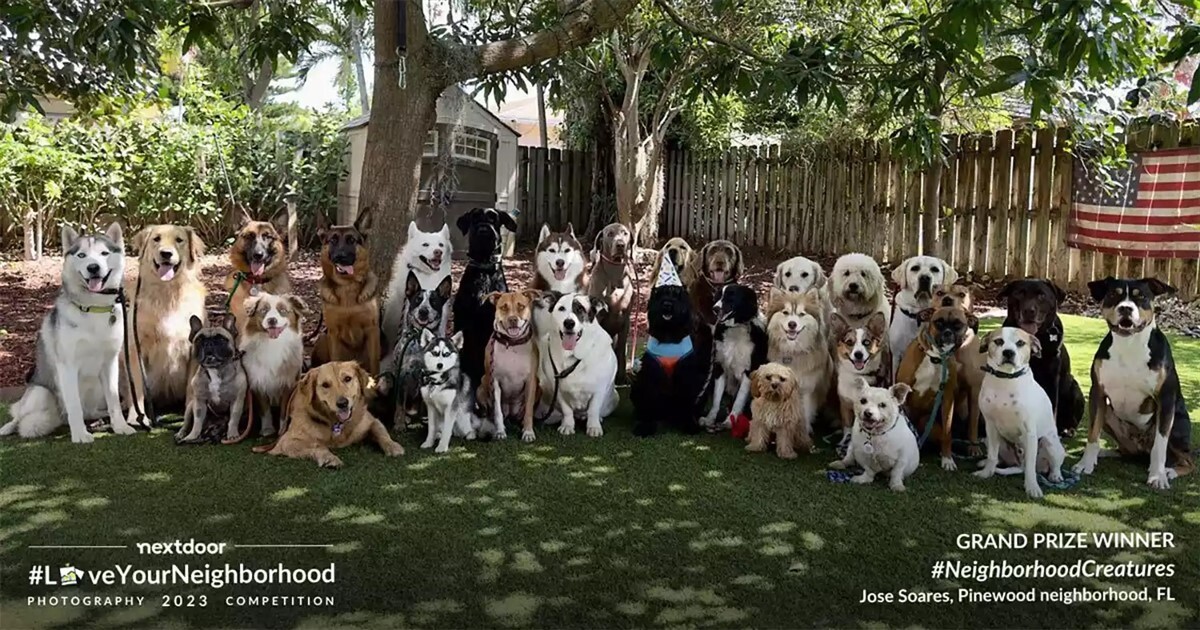 A türelem a lényeg – Ilyen szépen ül a kamera előtt 30 kutya egy szülinapi parti fotón